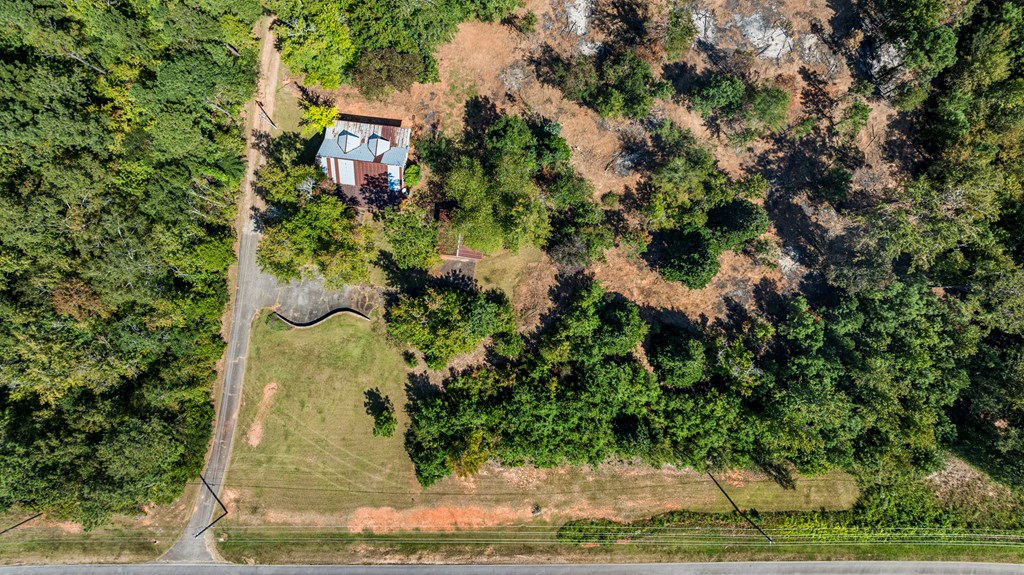 299 South L Street Hamilton, GA 31811 - Photo 10 of 36 a view of a yard