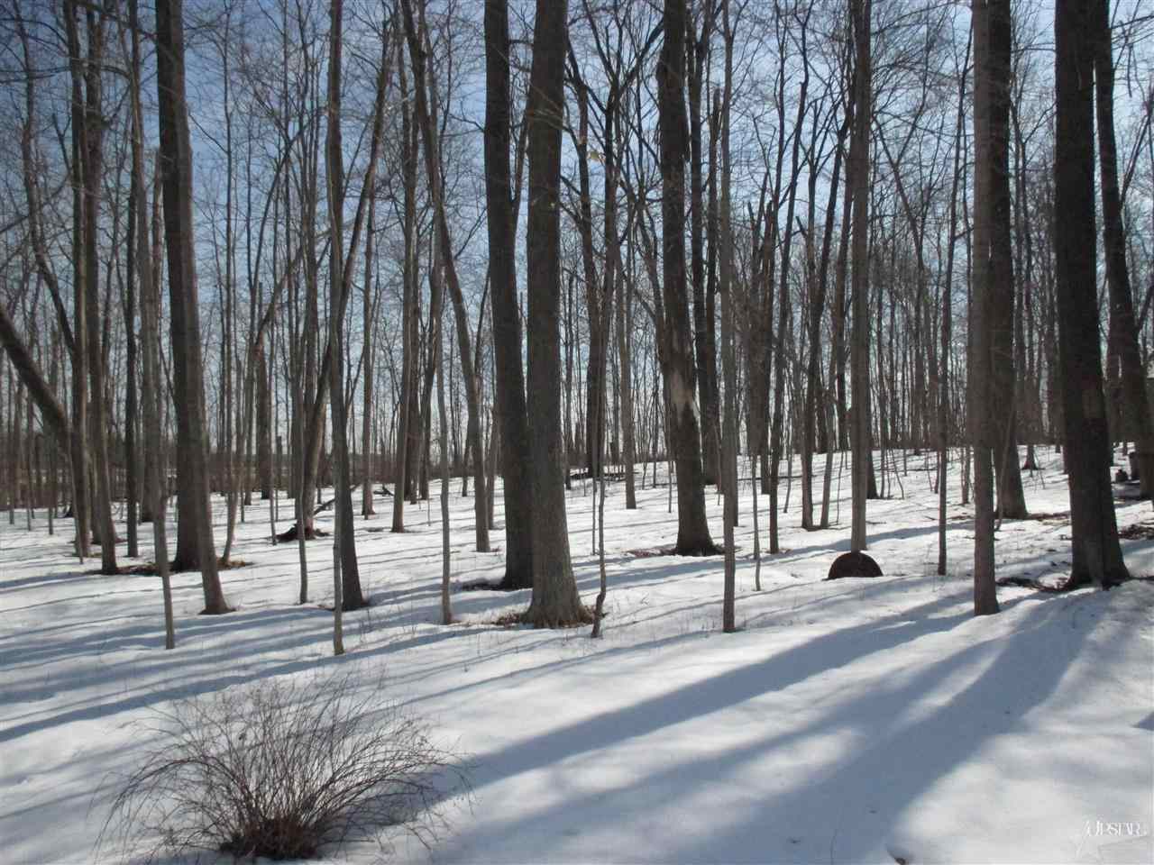 4255 West 46th Street North Huntington, IN 46750 - Photo 16 of 27 Gallery Image 16