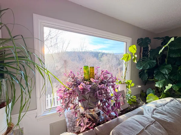 $449,000 | 306 Woodbrook Drive, Covington, VA 24426