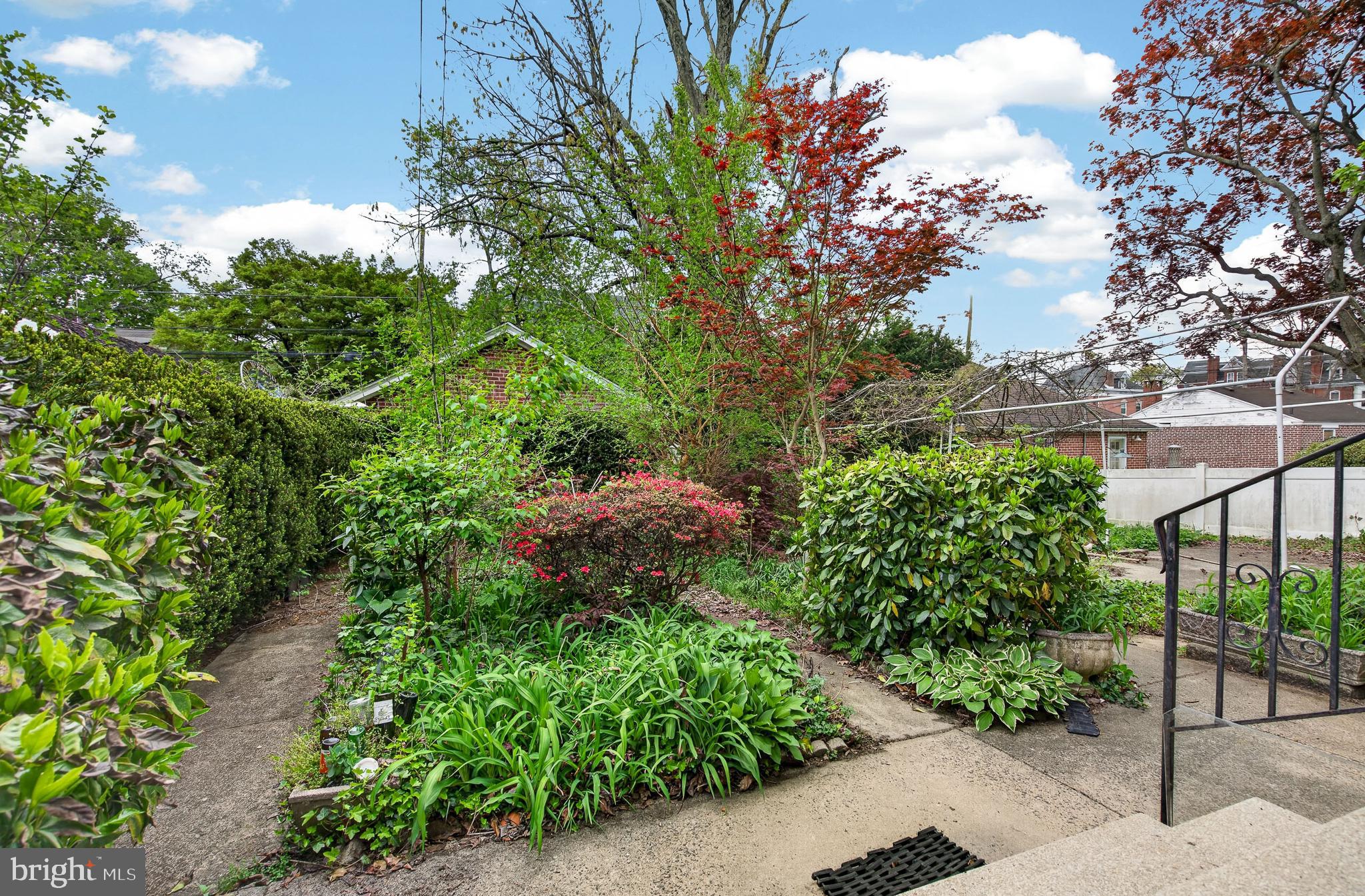 705 East 20th Street Chester, PA 19013 - Photo 35 of 41 a view of a garden with plants and large trees