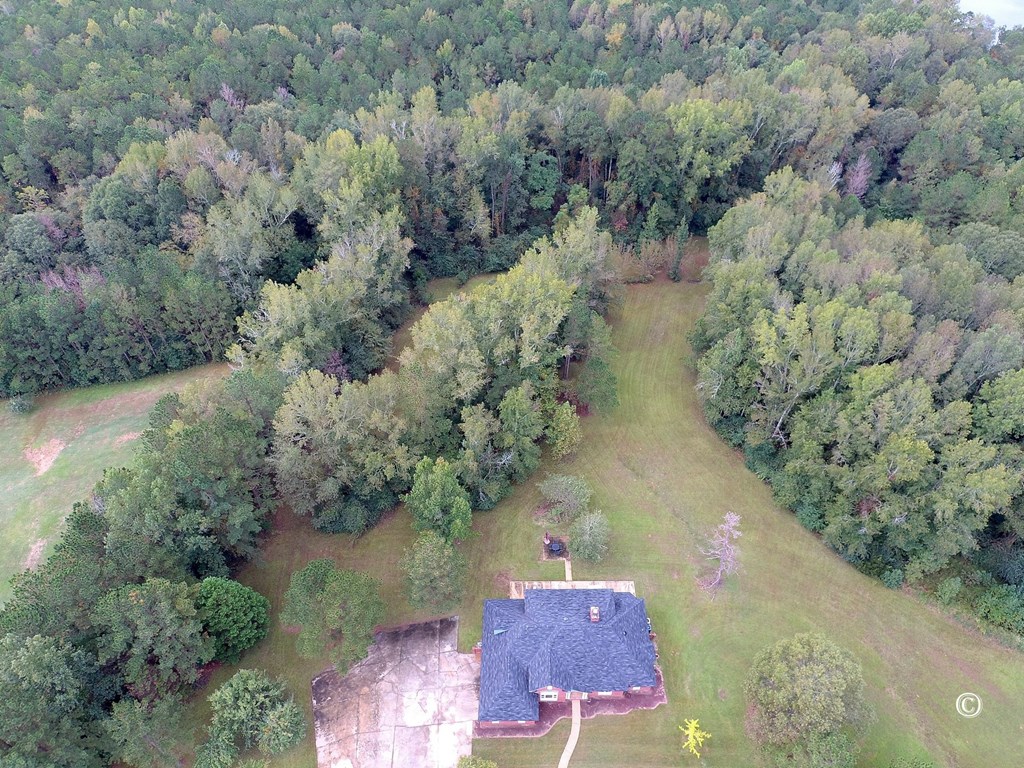 6487-5 Pierce Chapel Road Columbus, GA 31820 - Photo 29 of 51 Gallery Image 29