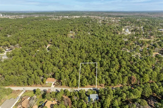 $17,000 | Lot 1161 Kaanapali Lane, Bastrop, TX 78602