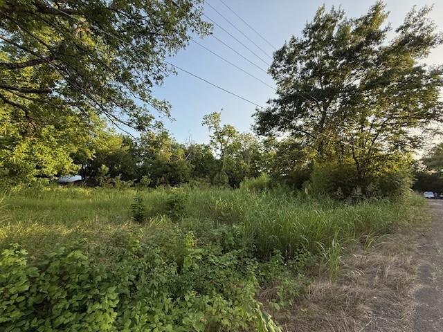 202 Elm Street Roxton, TX 75477 - Photo 11 of 21 a view of a green field with lots of bushes