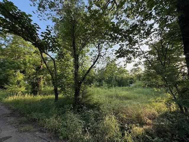 202 Elm Street Roxton, TX 75477 - Photo 12 of 21 a view of a lush green forest