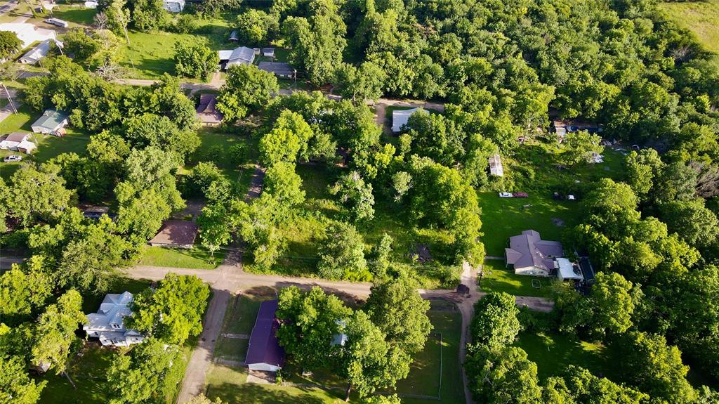 202 Elm Street Roxton, TX 75477 - Photo 14 of 21 a view of a tree with a plant