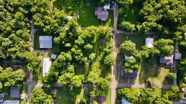 a view of a forest with trees in the background