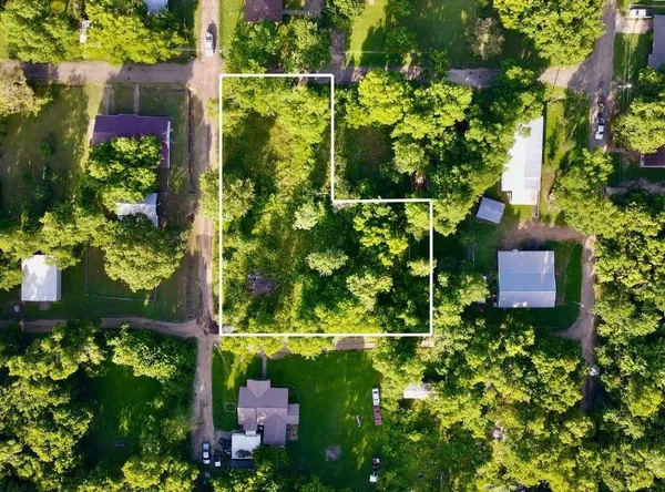 a picture of flowers