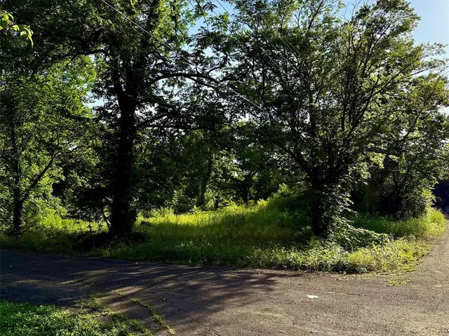 a view of backyard with green space