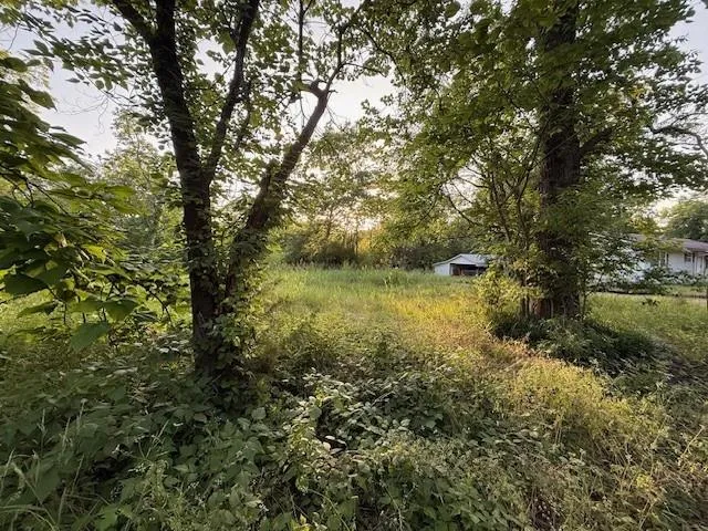 a view of a lake with houses