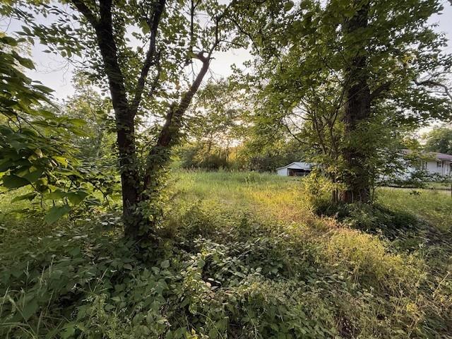 202 Elm Street Roxton, TX 75477 - Photo 5 of 21 a view of a lake with houses