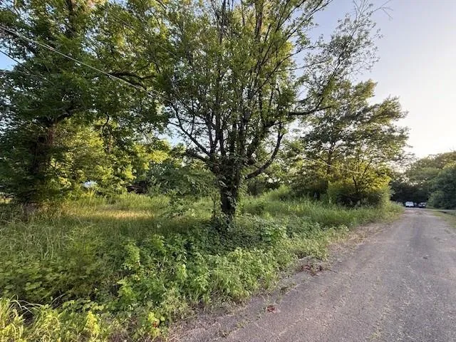 a view of a forest with trees in front of it