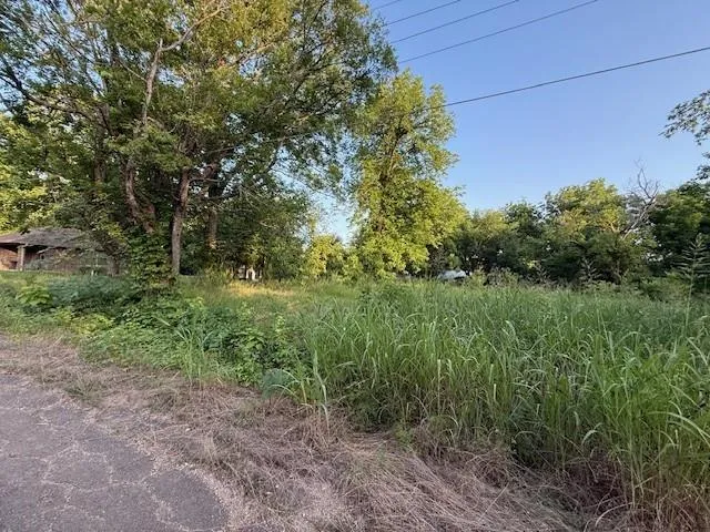 a view of a lush green forest