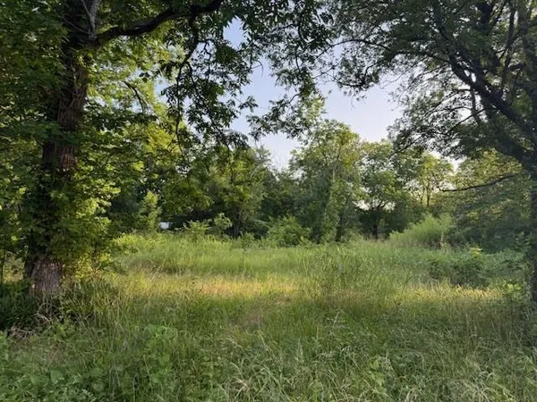a view of a lush green space