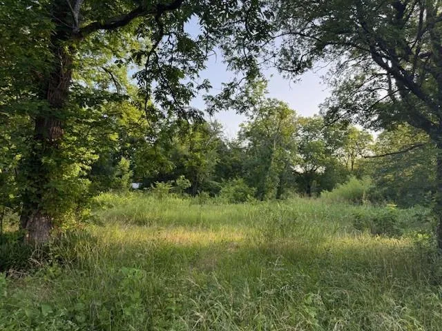 a view of a lush green space