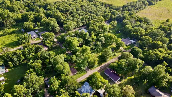 a view of a tree with a plant