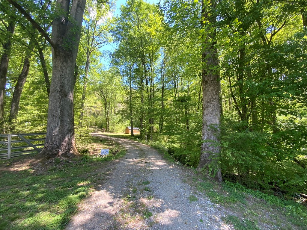 136 Gibson Road Andrews, NC 28901 - Photo 9 of 68