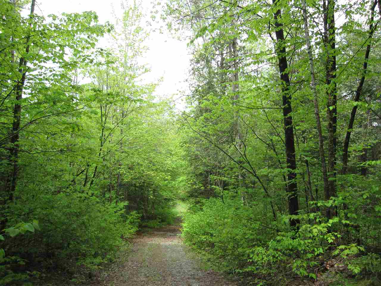 100 Morrison Trail Ryegate, VT 05042 - Photo 5 of 7 Gallery Image 5