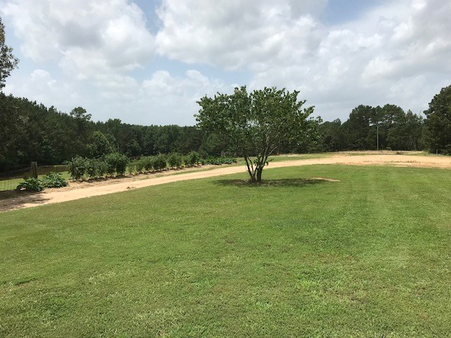 1050 New Hope Road Middleton, TN 38052 - Photo 11 of 12 Gallery Image 11