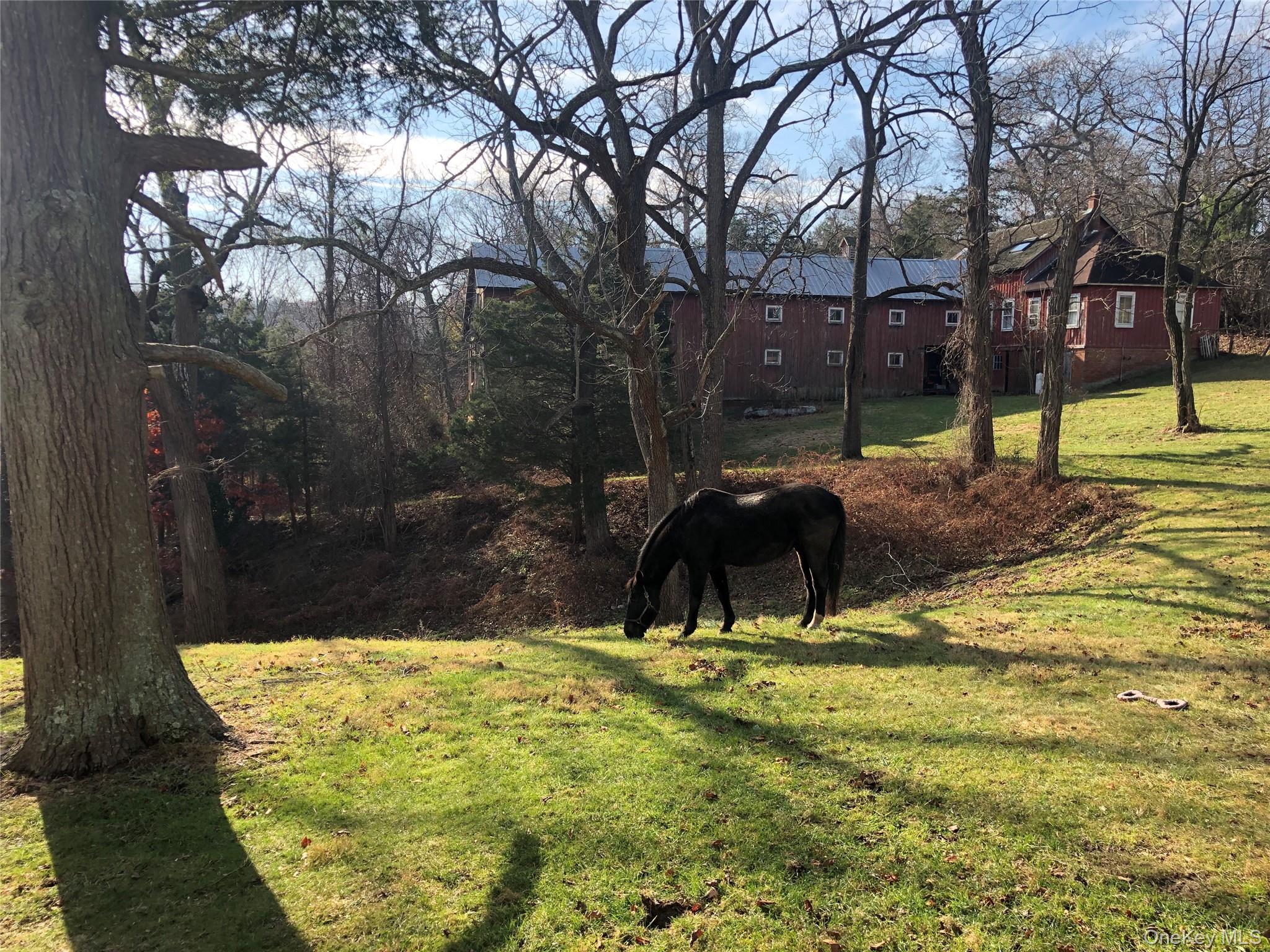 38 Landing Meadow Road Smithtown, NY 11787 - Photo 41 of 45 Gallery Image 41