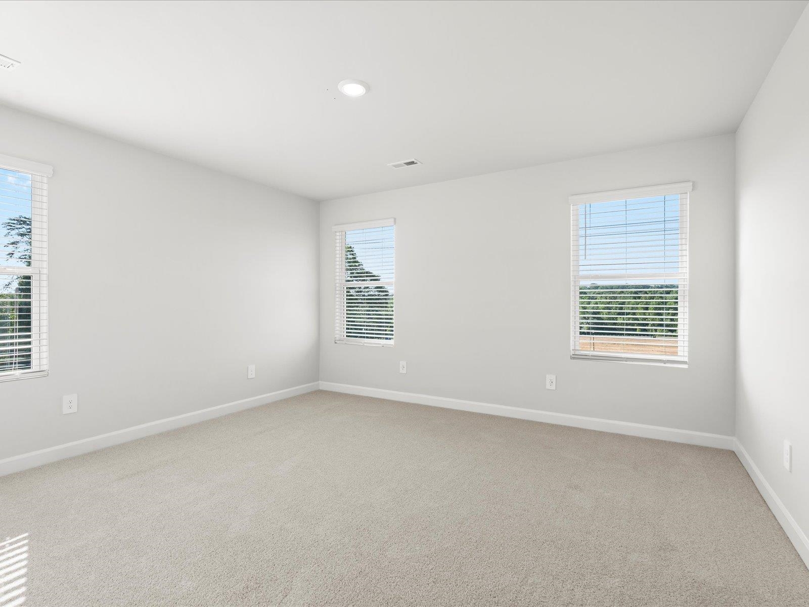 209 Cupid Court Greer, SC 29651 - Photo 9 of 26