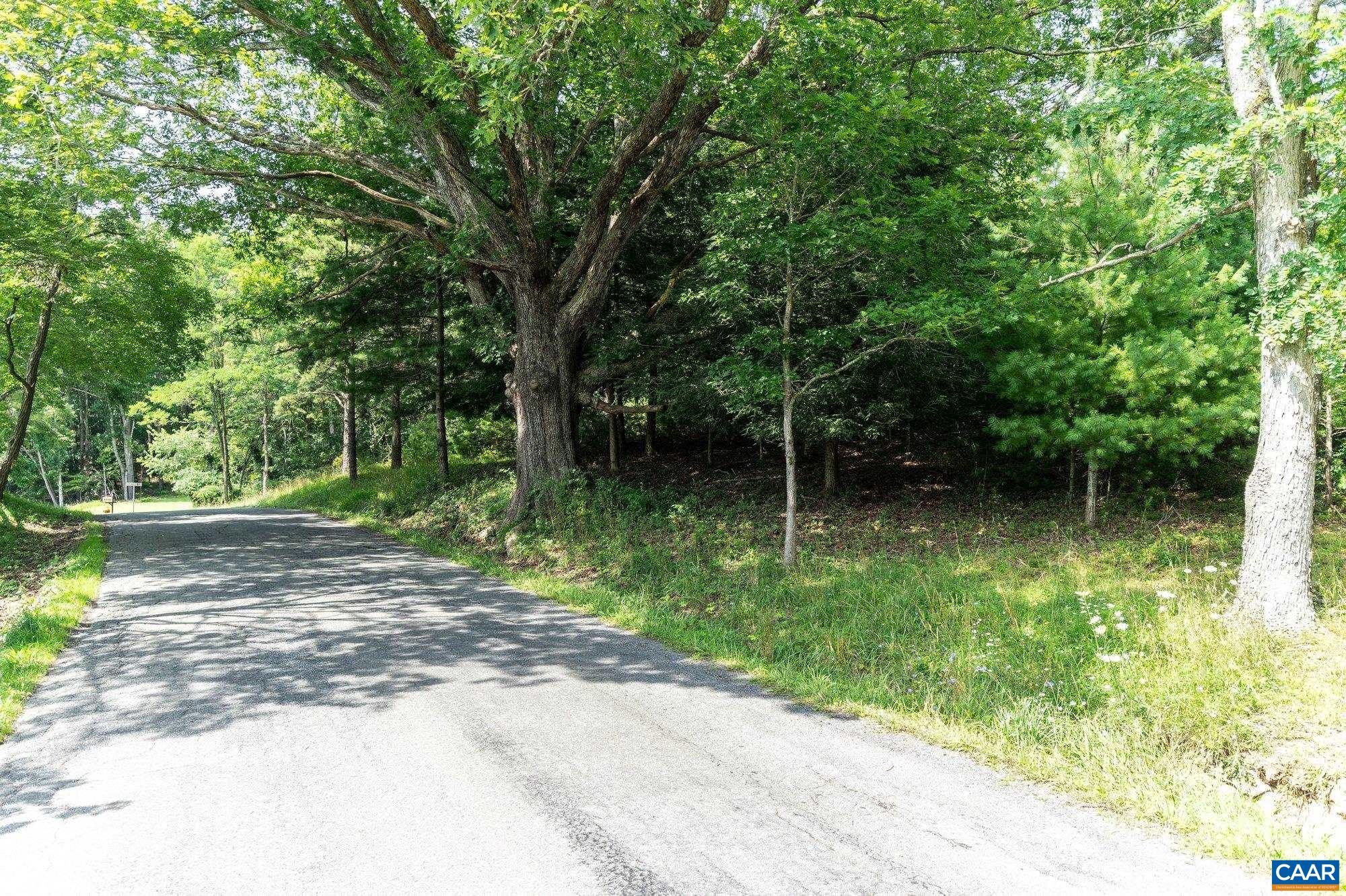 0 Muddy Run Road Williamsville, VA 24487 - Photo 16 of 30 Gallery Image 16