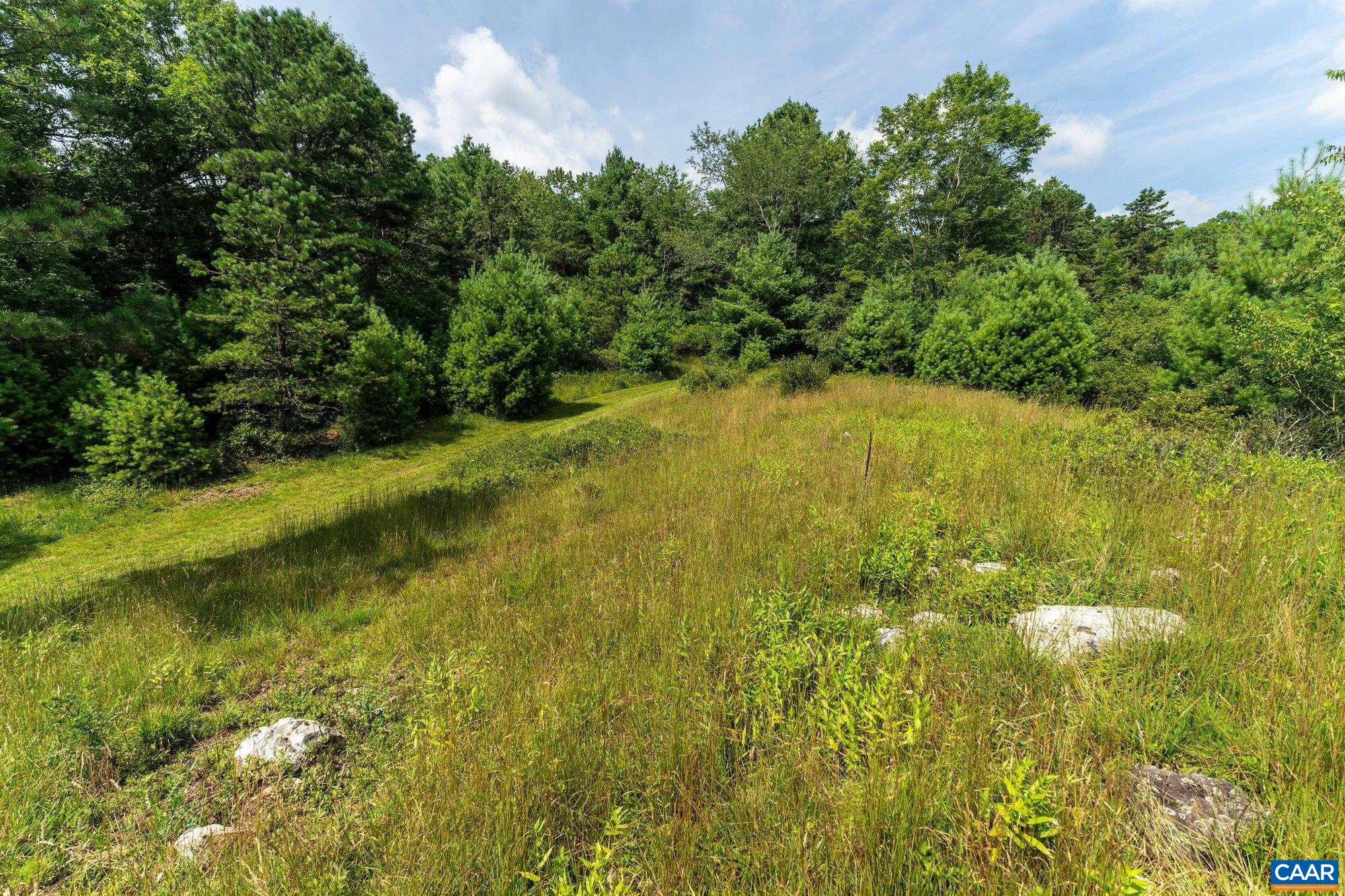 0 Muddy Run Road Williamsville, VA 24487 - Photo 19 of 30 Gallery Image 19