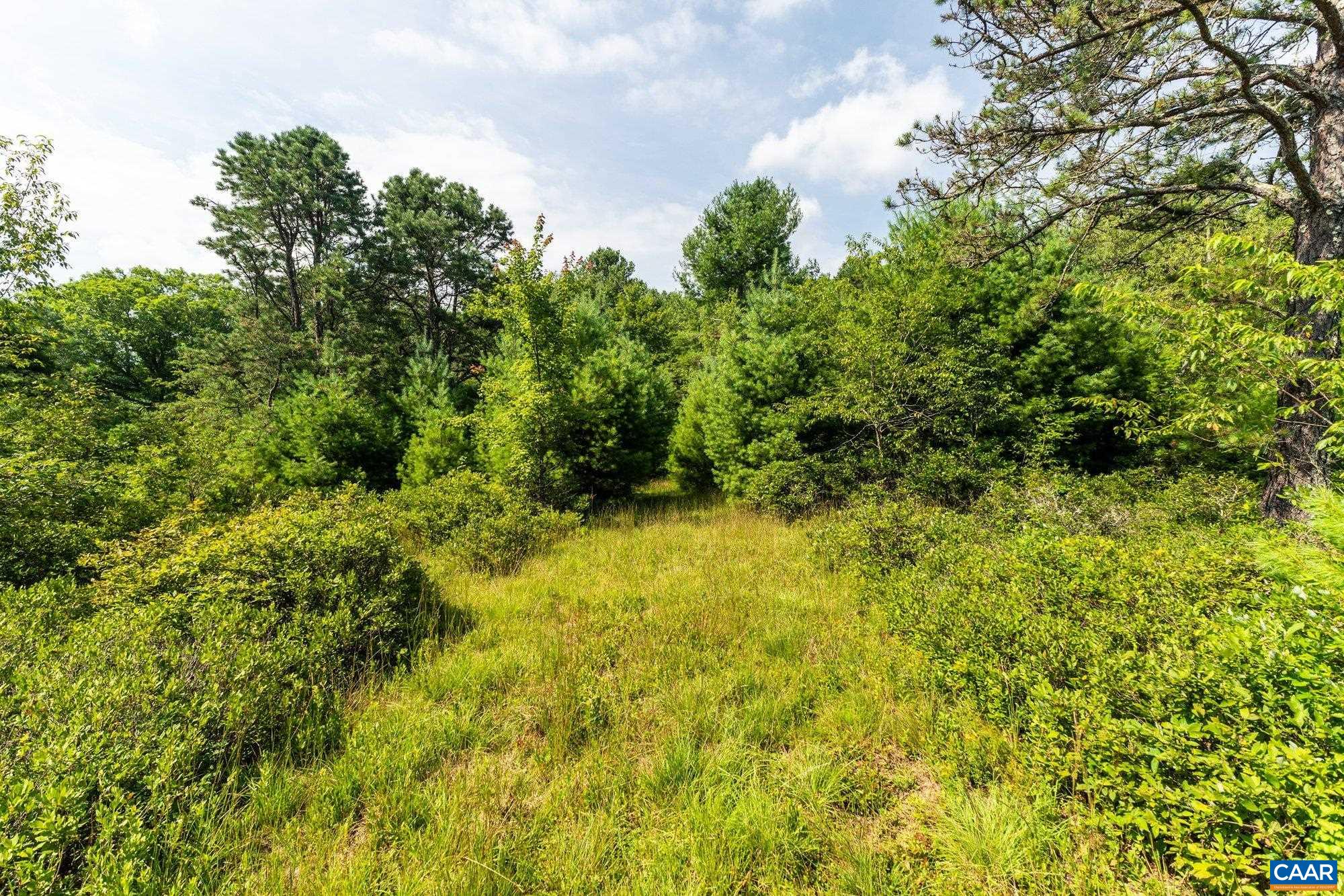 0 Muddy Run Road Williamsville, VA 24487 - Photo 26 of 30 Gallery Image 26