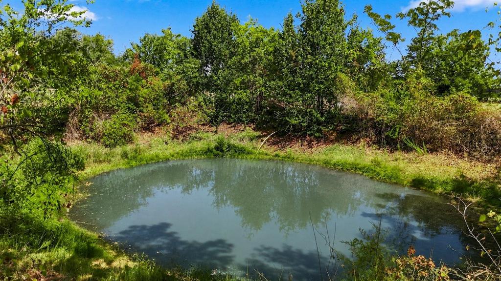 1347 Johnson Road Keller, TX 76248 - Photo 13 of 18 Natural pond surrounded by mature landscaping and native vegetation, offering a serene water feature on the property
