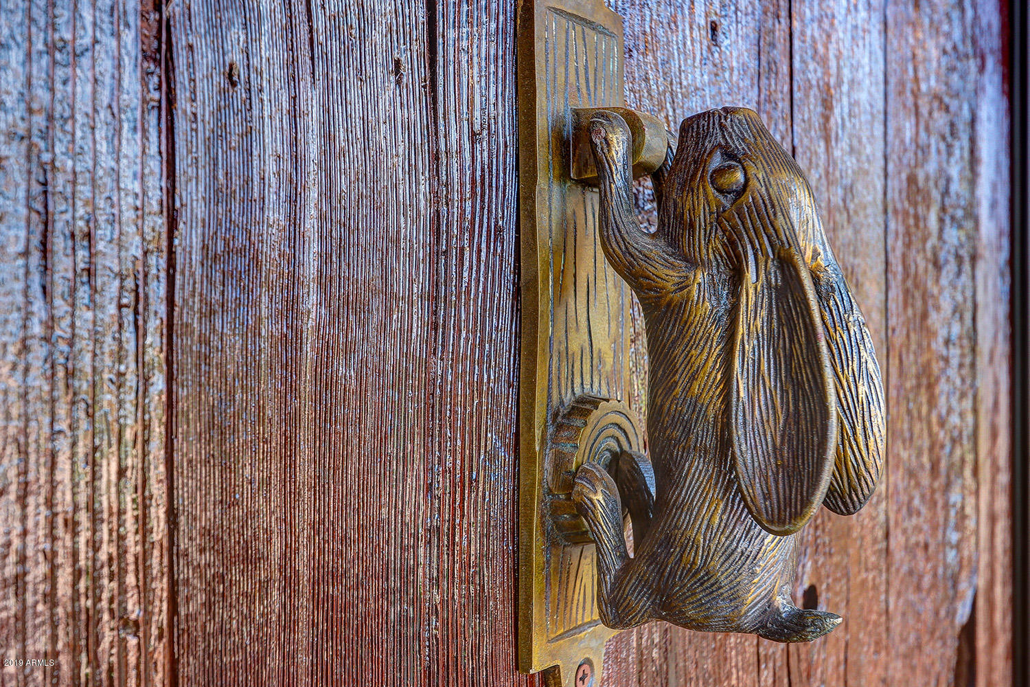 12160 East Mountain View Road Scottsdale, AZ 85259 - Photo 42 of 56 Door detail