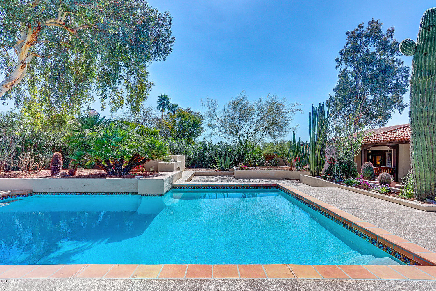 12160 East Mountain View Road Scottsdale, AZ 85259 - Photo 51 of 56 Pool