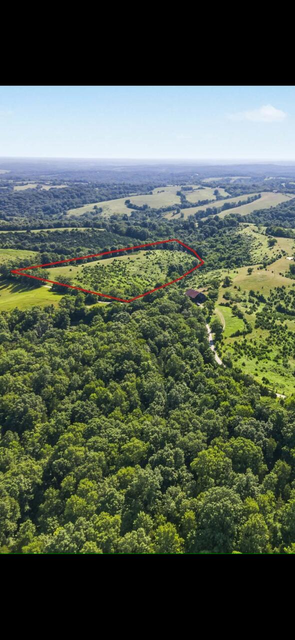 1 Spider Berry, KY 41003 - Photo 1 of 12 Spider 11.30 acres New