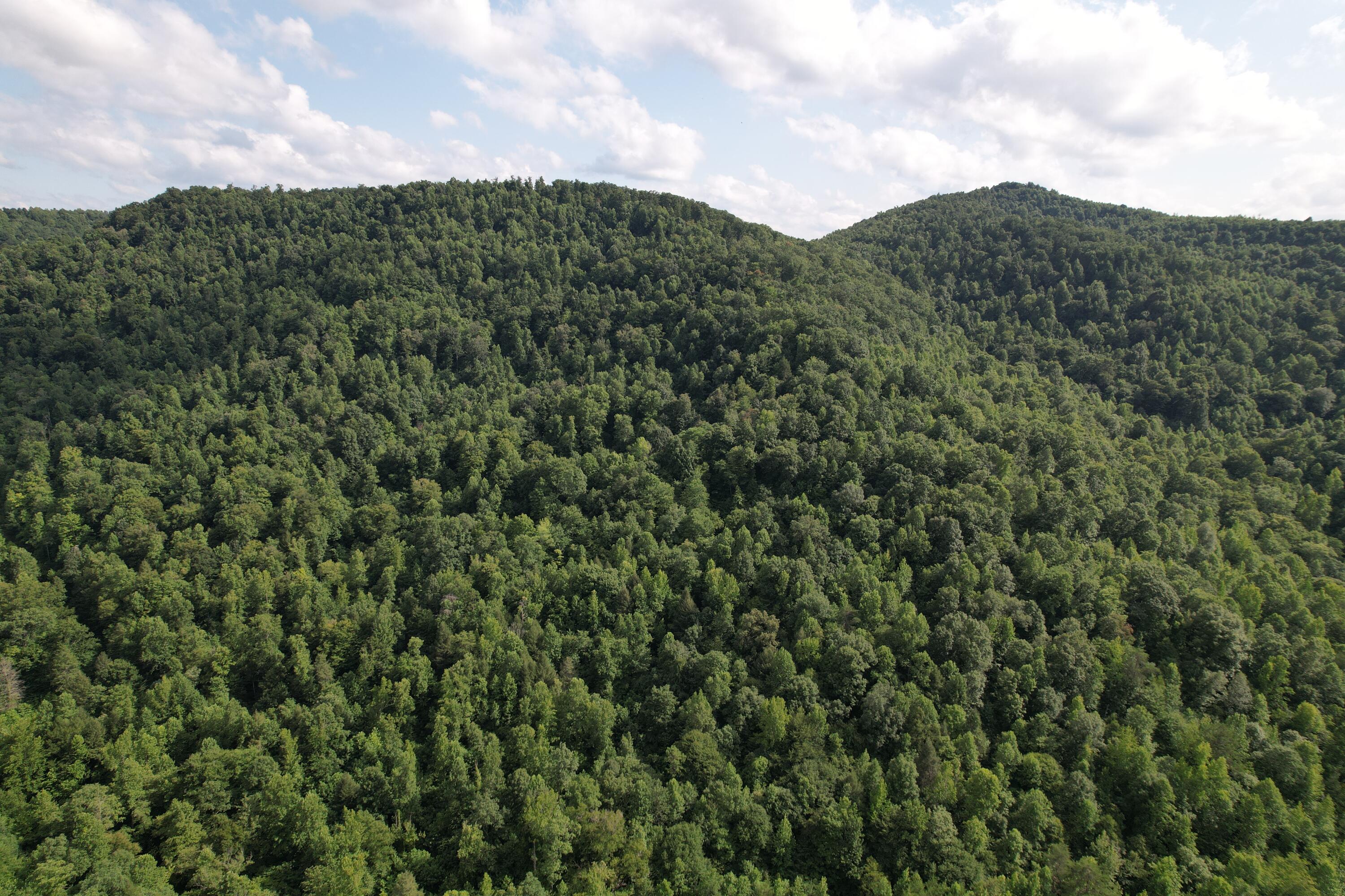 0 Little Rock Creek Road Strunk, KY 42649 - Photo 23 of 29 DJI_0613