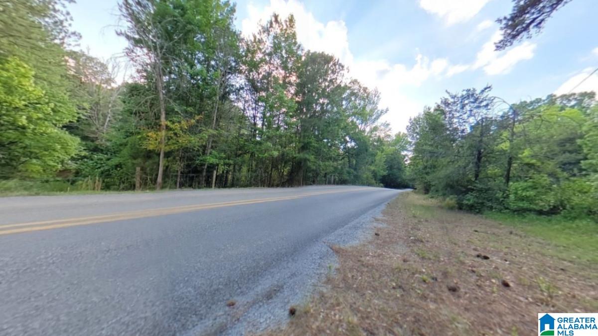 2116 Tom Cat Road Piedmont, AL 36272 - Photo 18 of 18