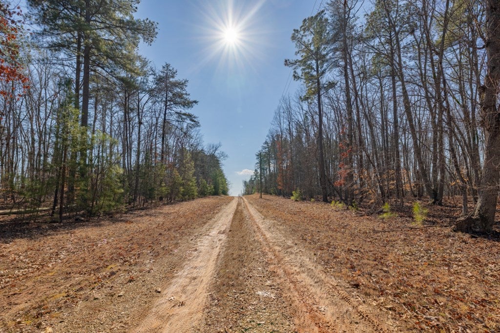 1586 County Line Road Keysville, VA 23947 - Photo 35 of 36 Gallery Image 35
