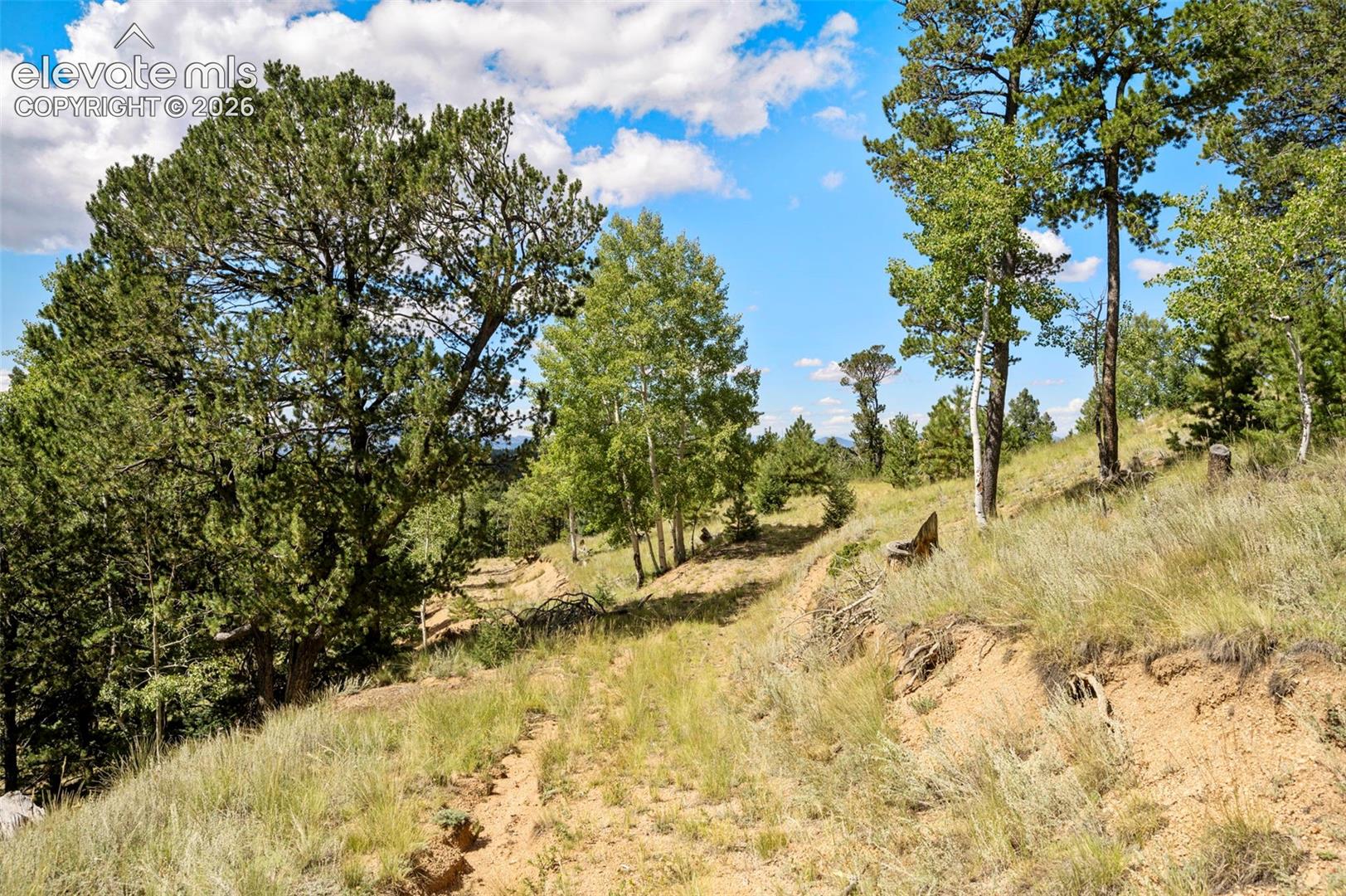 131 Paradiso Road Divide, CO 80814 - Photo 42 of 47 Secondary lot w/ well