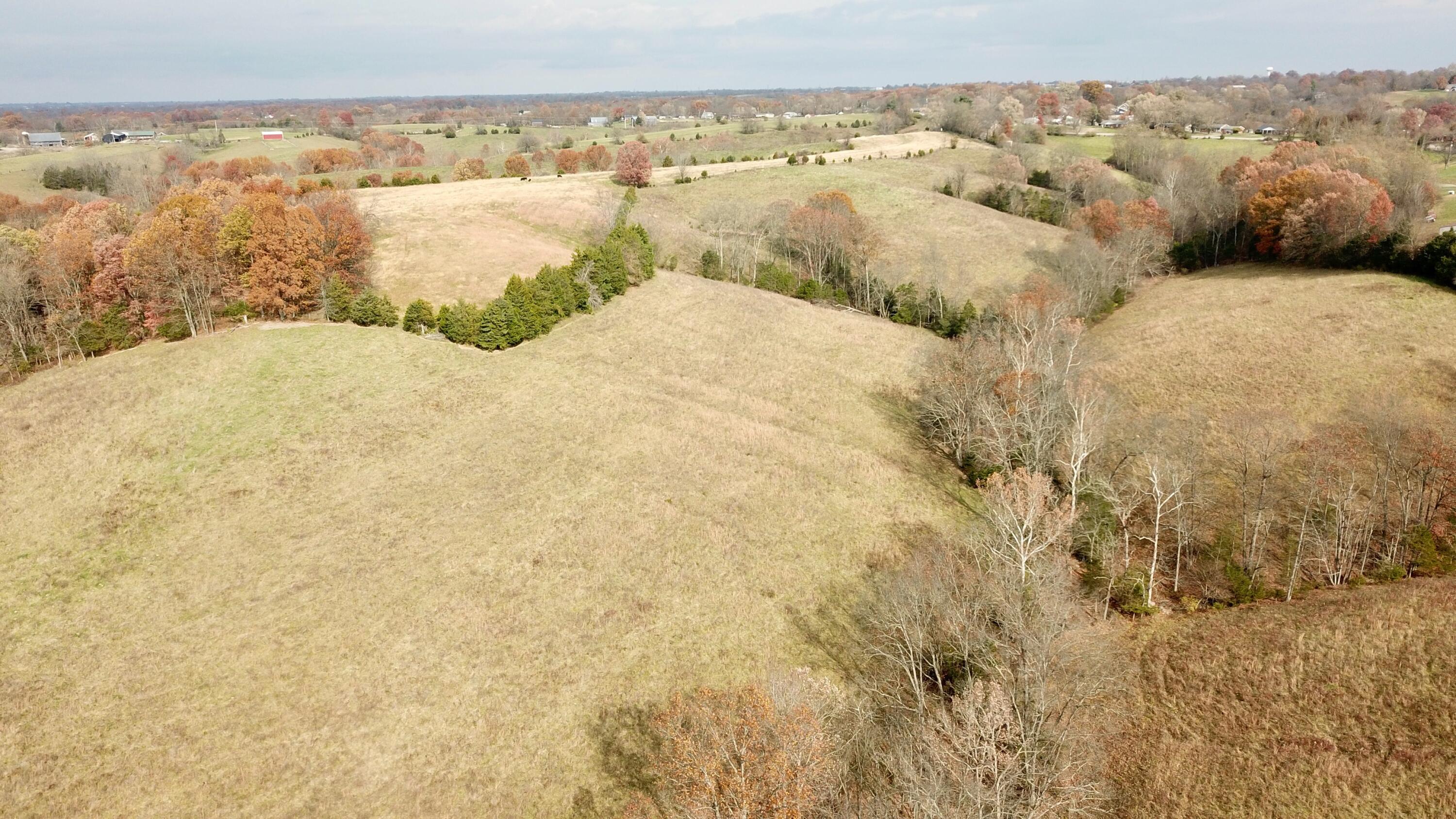 0 Gratz Road Owenton, KY 40359 - Photo 25 of 40