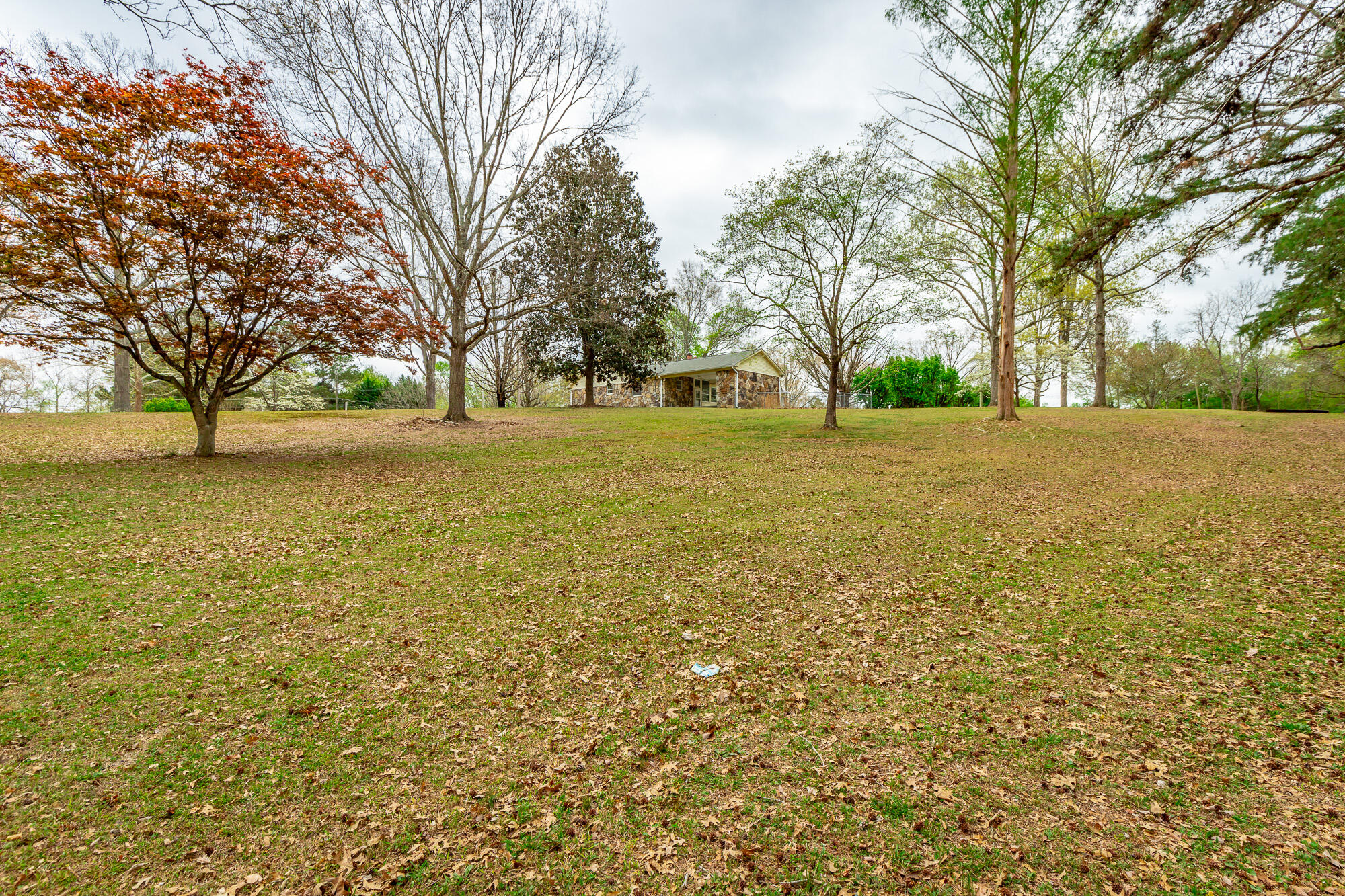 204 Dodd Road Ringgold, GA 30736 - Photo 52 of 91 204 Dodd Road HD-63