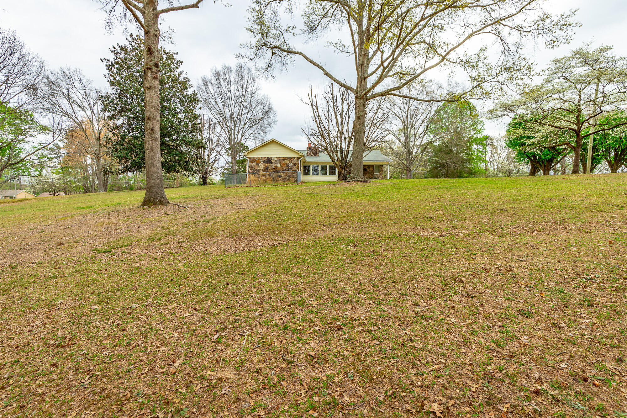 204 Dodd Road Ringgold, GA 30736 - Photo 57 of 91 204 Dodd Road HD-68