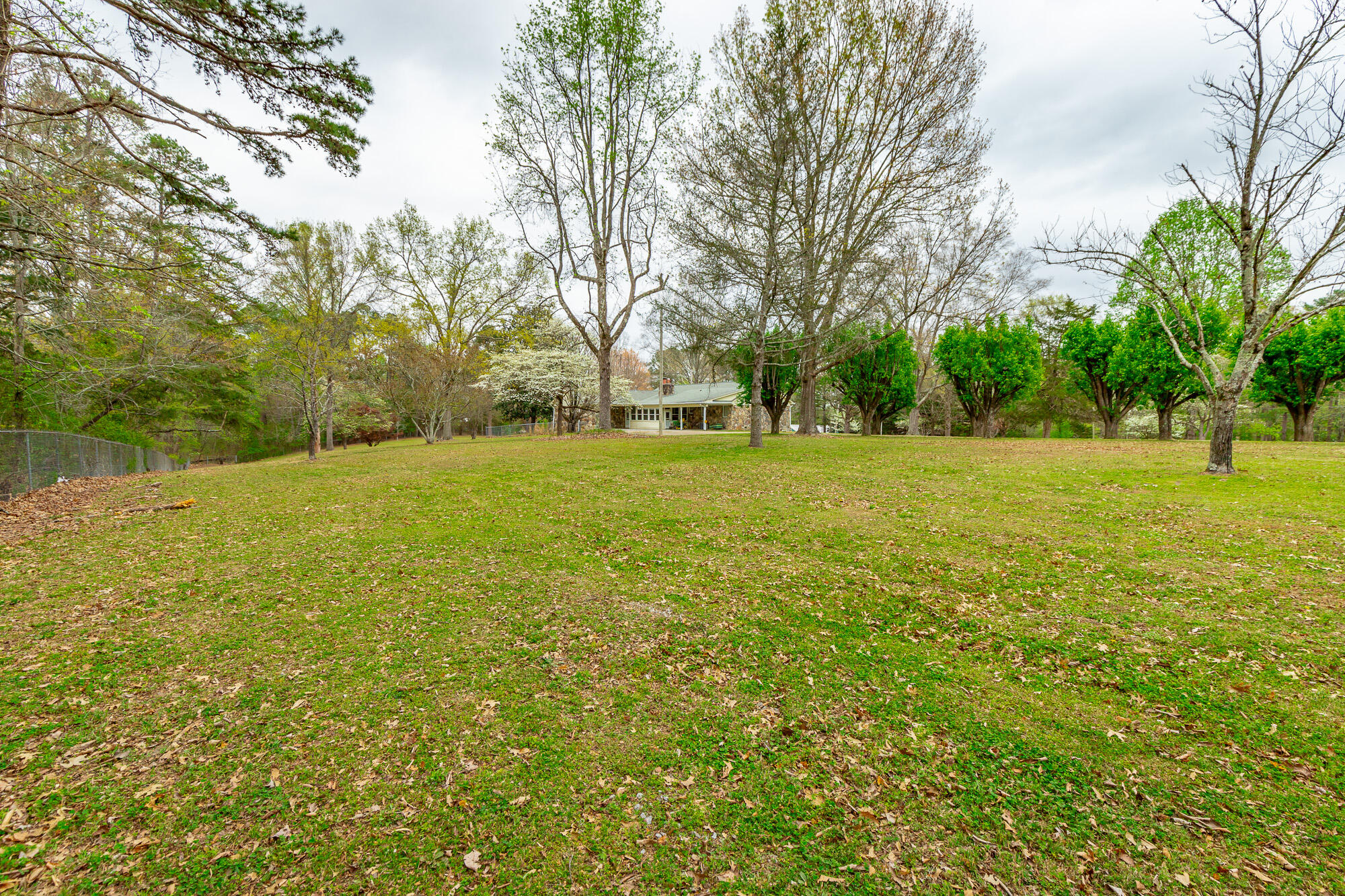 204 Dodd Road Ringgold, GA 30736 - Photo 61 of 91 204 Dodd Road HD-73