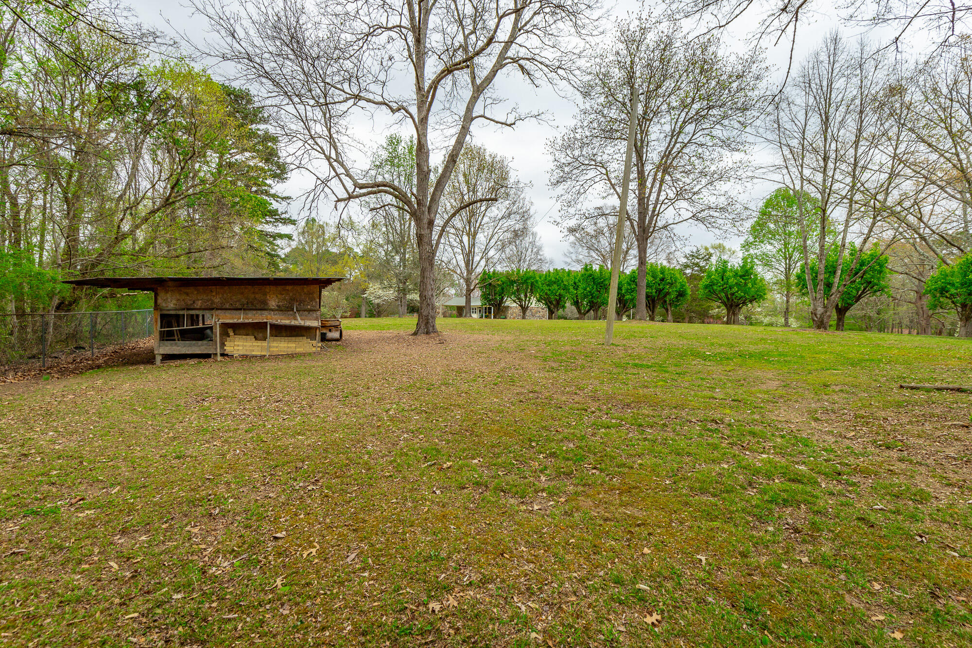 204 Dodd Road Ringgold, GA 30736 - Photo 63 of 91 204 Dodd Road HD-75