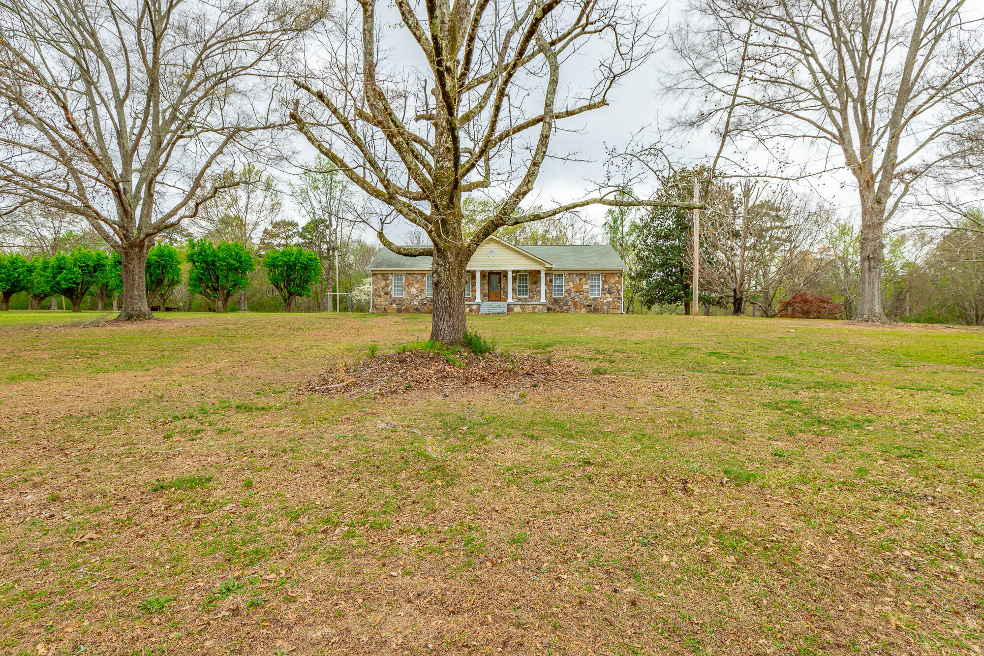 204 Dodd Road Ringgold, GA 30736 - Photo 79 of 91 204 Dodd Road HD-58