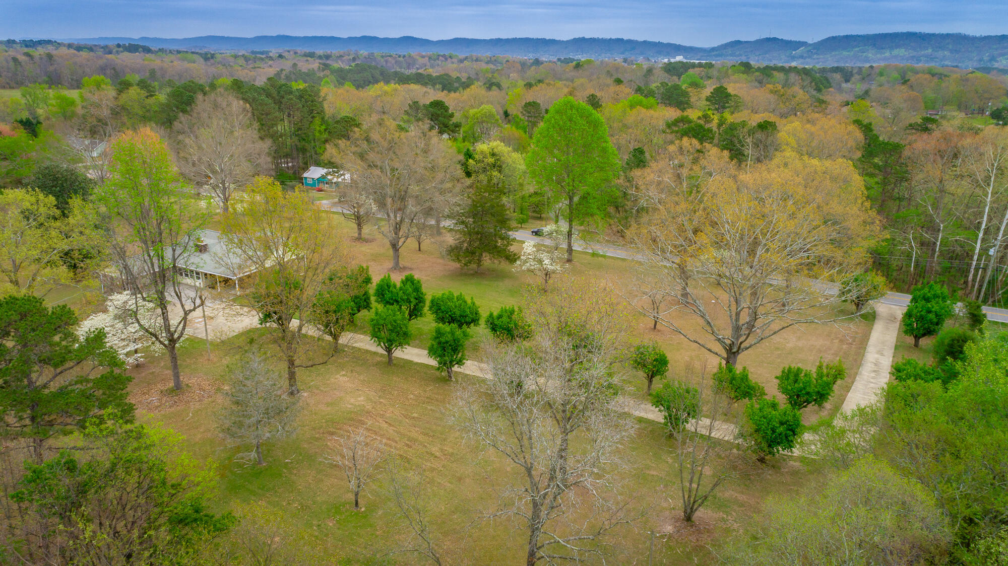 204 Dodd Road Ringgold, GA 30736 - Photo 83 of 91 204 Dodd Road HD-99