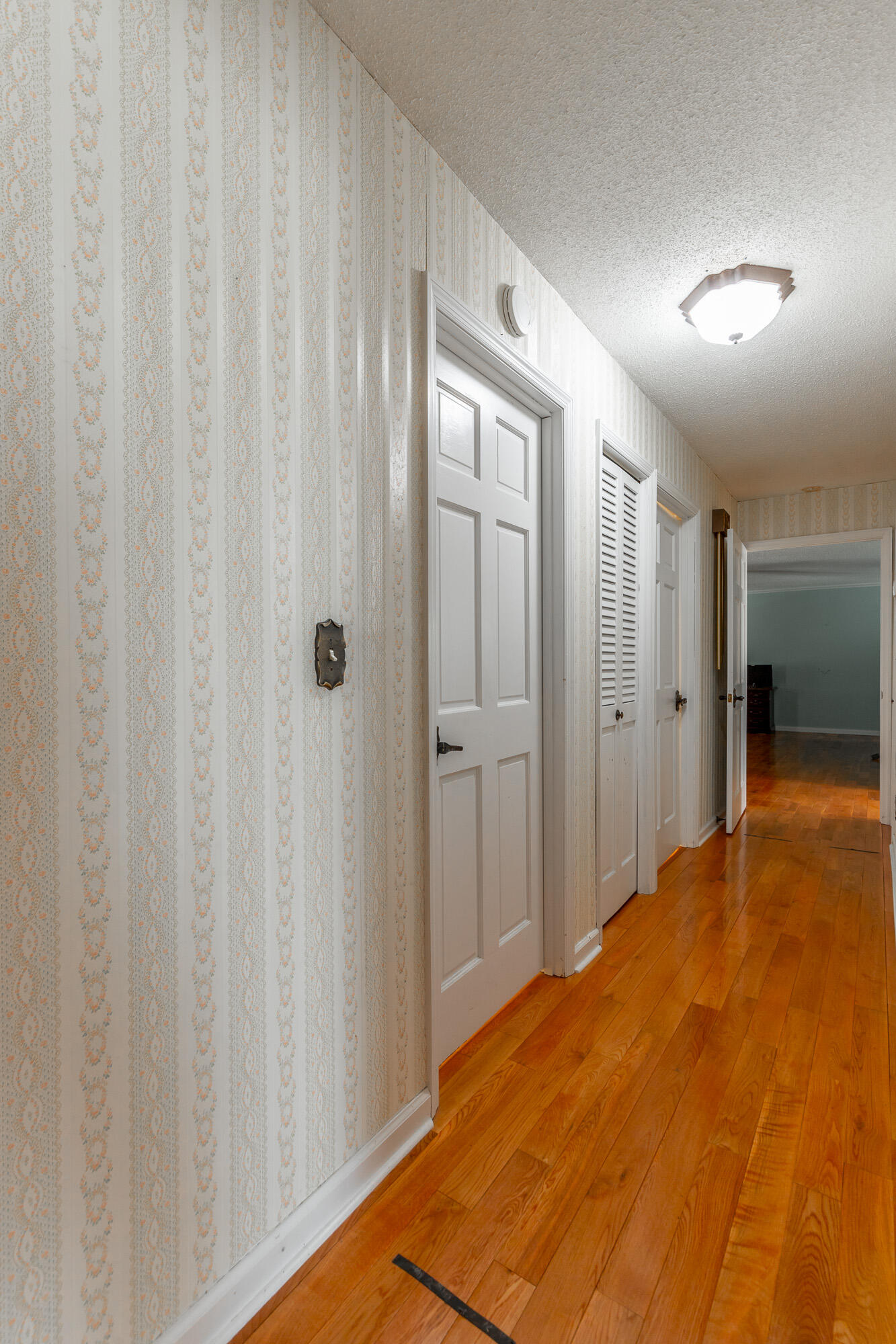 204 Dodd Road Ringgold, GA 30736 - Photo 9 of 91 204 Dodd Road HD-7