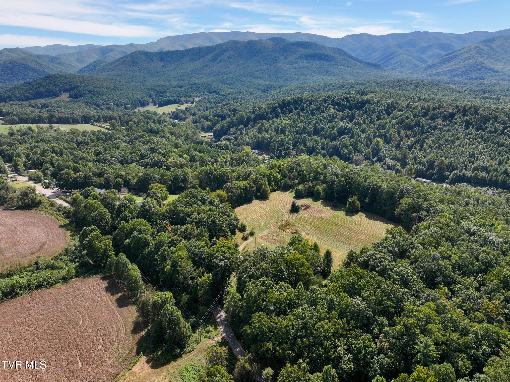 250 Bill Martin Road Afton, TN 37616 - Photo 21 of 23 22