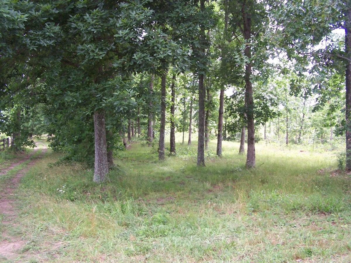 620 Vandever Road Crossville, TN 38572 - Photo 19 of 34 100_8963