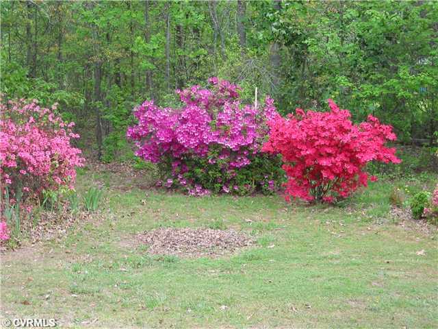 View - Beautiful flowers surrounding this house