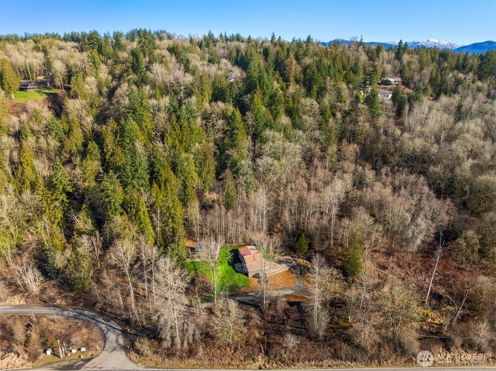 10304 296th Avenue Northeast Carnation, WA 98014 - Photo 33 of 35 a view of a city with lush green forest