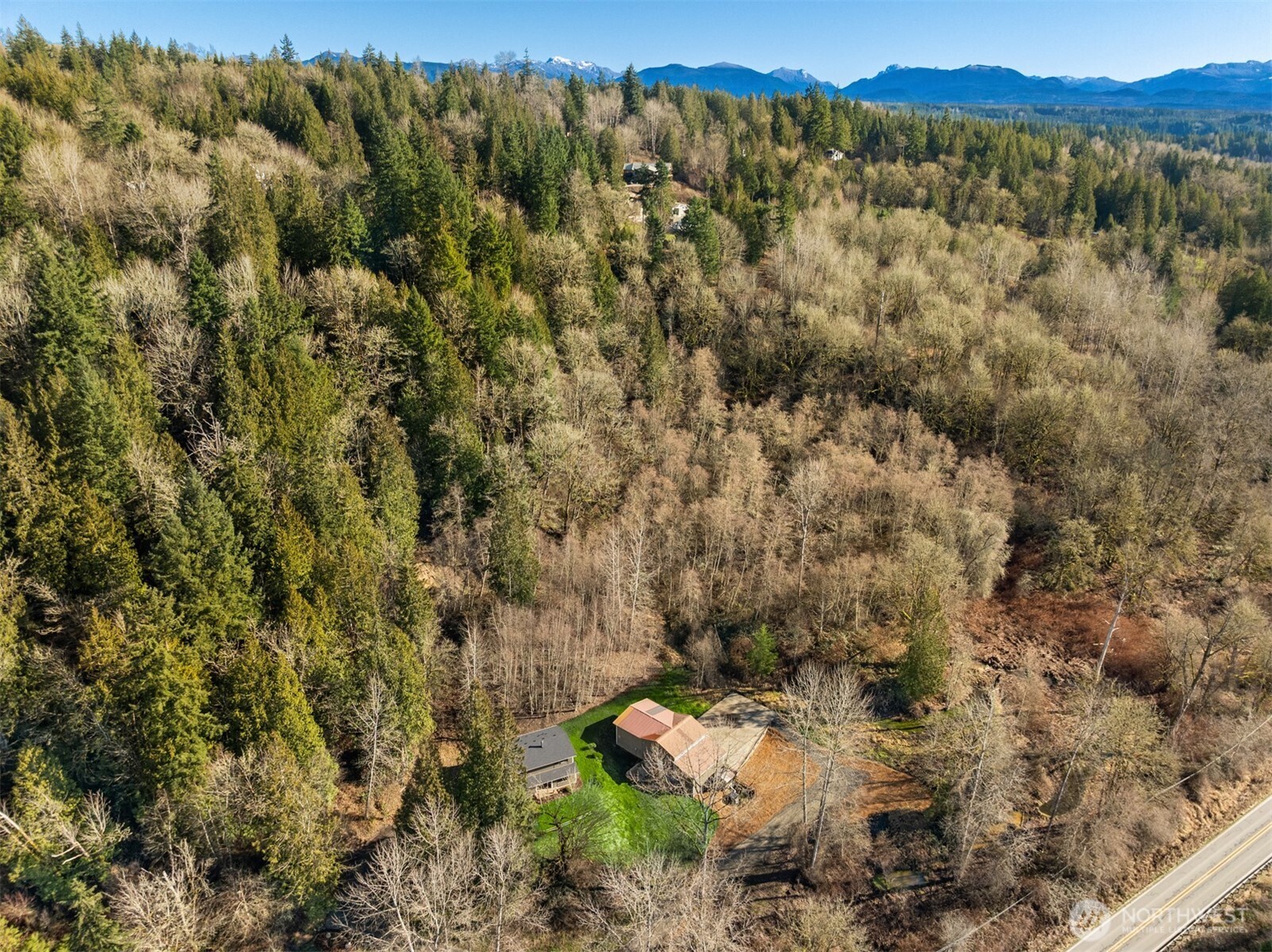 10304 296th Avenue Northeast Carnation, WA 98014 - Photo 35 of 35 a view of a forest with a forest