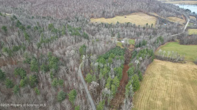 a view of a backyard of the house