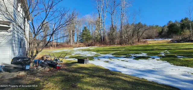 a view of a park with large trees